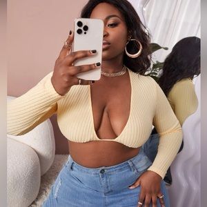 Deep V neck cropped tee